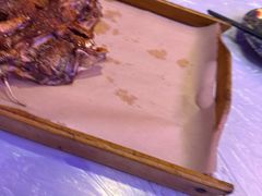 -夜火烤摊·东北烧烤酒场·老杨小黄鱼