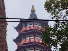 -绳金塔