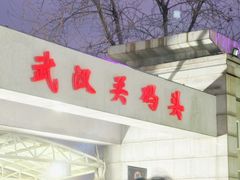 -武汉关码头(轮渡站)