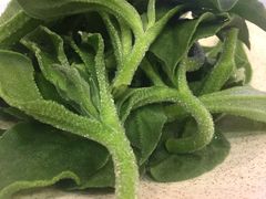 -九重天大饭店(北大街店)