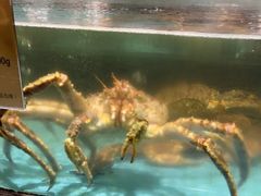 水产区-西贝海鲜汇(槐安路店)