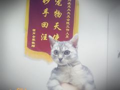-宠福鑫动物医院(立水桥分院)