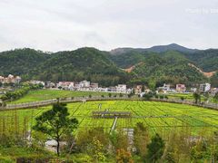 -红山村