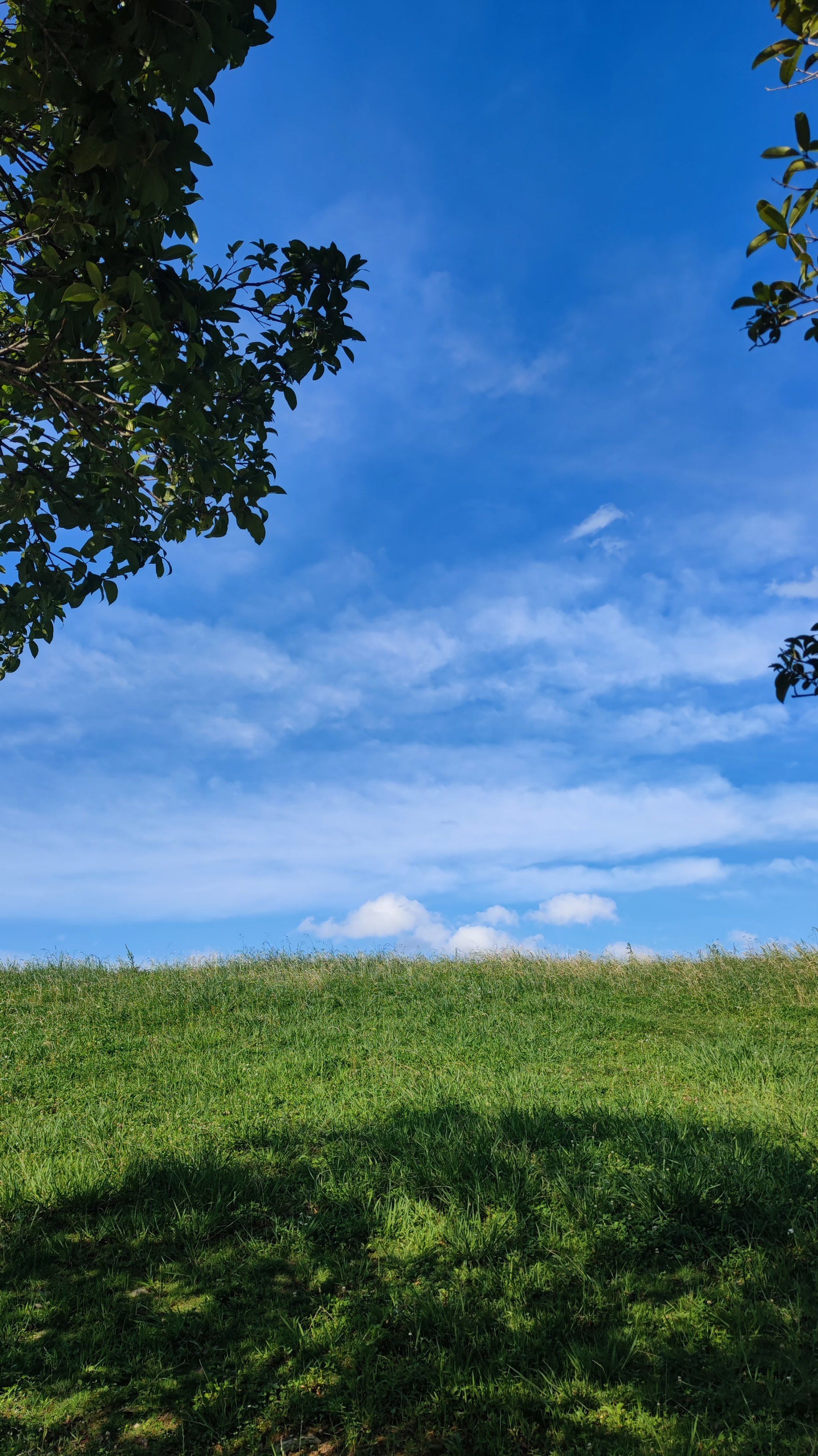 看着云朵在天上慢慢飘走.
#分享治愈系风景 
#0元玩转这座城