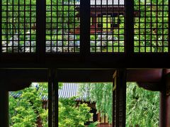 -江心屿景区