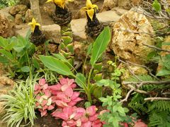 -南通洲际绿博园