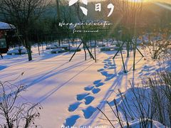 -横道河子东北虎林园