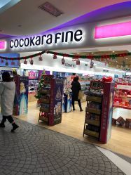 -cocokarafine可开嘉来