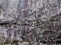 -萍乡武功山风景名胜区