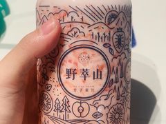 -野萃山·潮汕厚果汁(十亩地店)