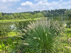 -东郊湿地公园