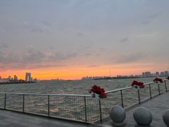 -金鸡湖景区