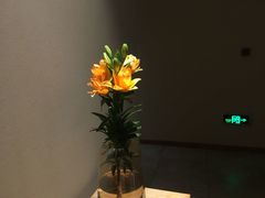 -璞禅足道(观音桥旗舰店)