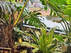 -J Create城市露营咖啡·简餐·宠物(上海动物园店)