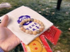 -西安大兴善寺