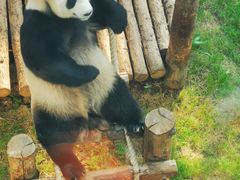 -大连森林动物园