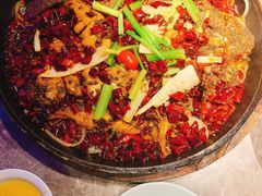 -老板恋上鱼(恒隆广场店)