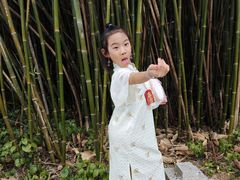 -开平碉楼文化旅游区马降龙景区