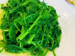 -钦善斋·养生膳食·精典川菜(武侯祠店)