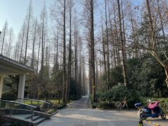 -上海怡沁园度假酒店