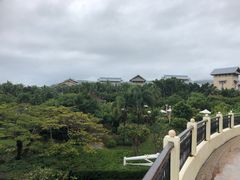 -三亚亚龙湾万豪度假酒店
