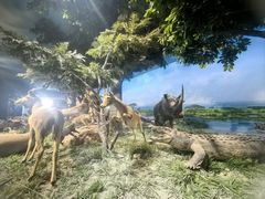 -国家自然博物馆