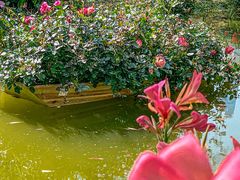 -人民公园(罗湖区)