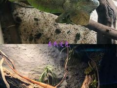 -常州海昌海洋探索馆