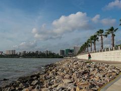 -宝安西湾红树林湿地公园