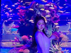 -石家庄极地海洋世界