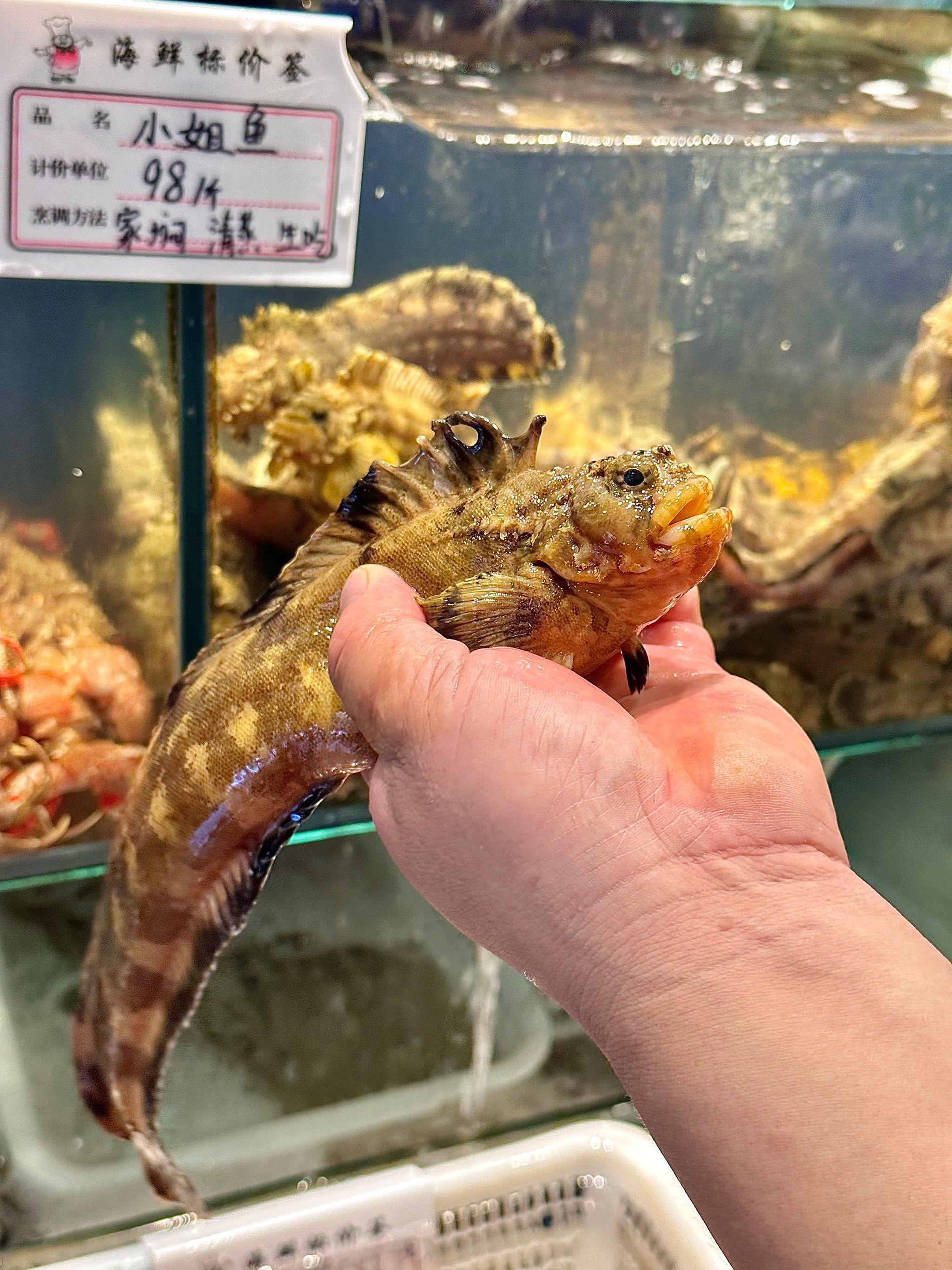 n
小姐鱼
连我这个平时不咋吃鱼的人都欲罢不能
新鲜肥美,炖