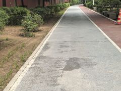 -绿堤公园