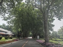 -棒棰岛宾馆景区