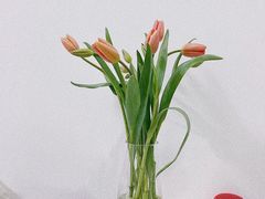 -盒马鲜生(莱蒙都会店)