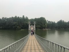 -东湖落雁景区