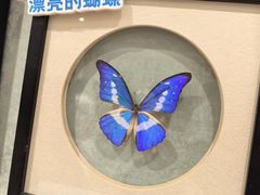 -深圳龙华星河COCO City(民治店)