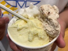 -VENCHI 闻绮(上海佛罗伦萨小镇店)