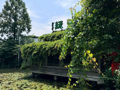 -绿茶餐厅(龙井船宴· 品牌总店)