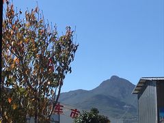 -玉雪春天(中正花园店)