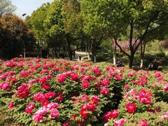 -幕燕滨江·长江观音景区