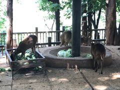 -昆明动物园