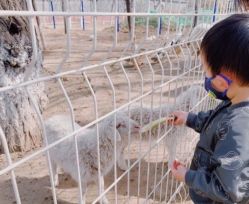 -萌宠亲子动物乐园(槐房万达店)