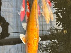 -春满园生态餐厅(南宫路店)