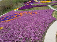 -南通洲际绿博园