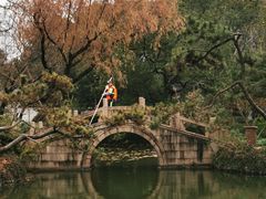 -上海醉白池公园