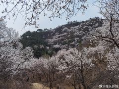 -蟠龙山长城景区
