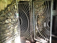 -怀托摩萤火虫洞