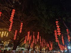 -广州文化公园