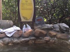-深业半汤御泉庄温泉