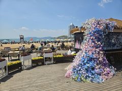 -青岛第二海水浴场